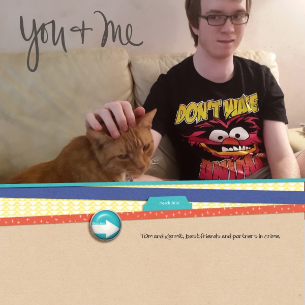 T Cat (Custom)
