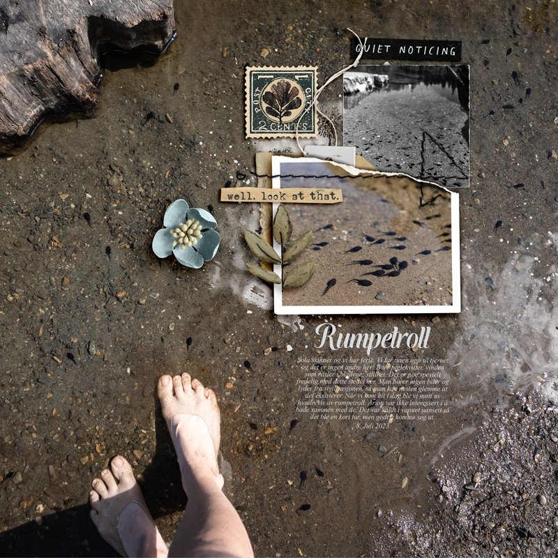 Tadpoles