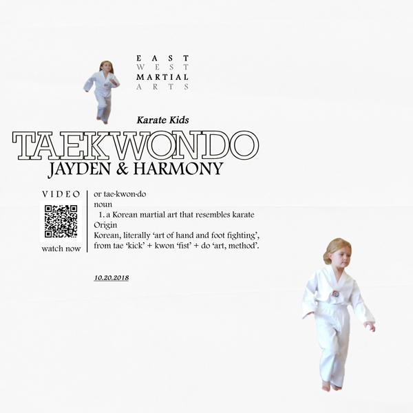 Taekwondo
