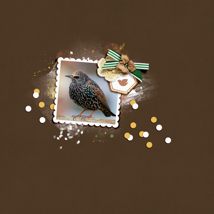 Technique Slow Scrap | Saturday 3/27