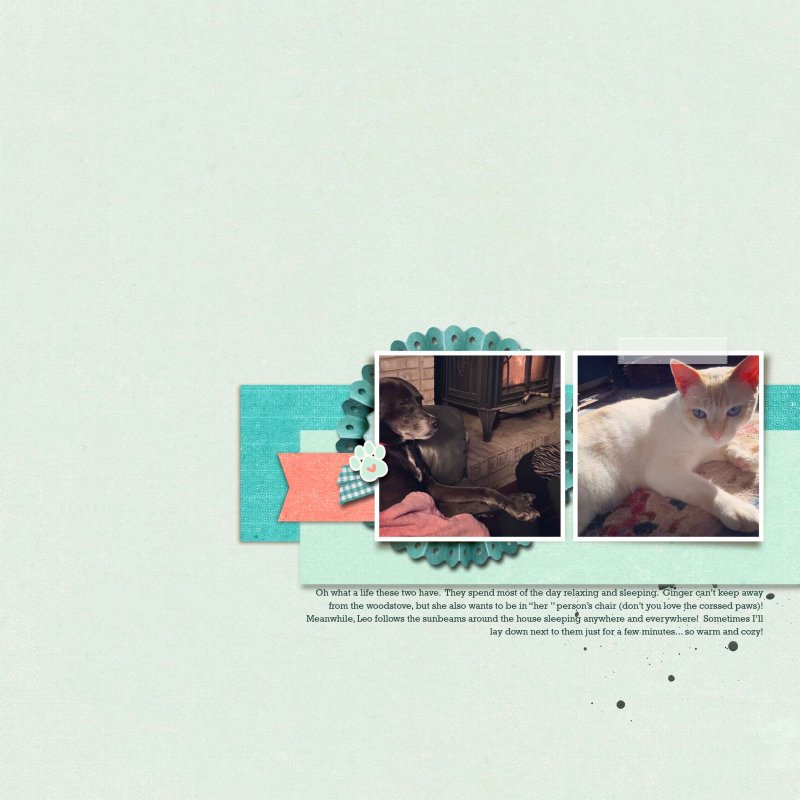 Template Challenge Feb 2017