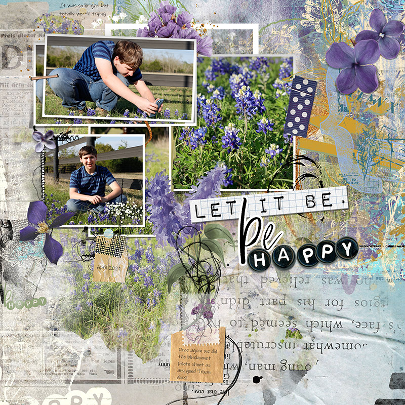 Texas Bluebonnets
