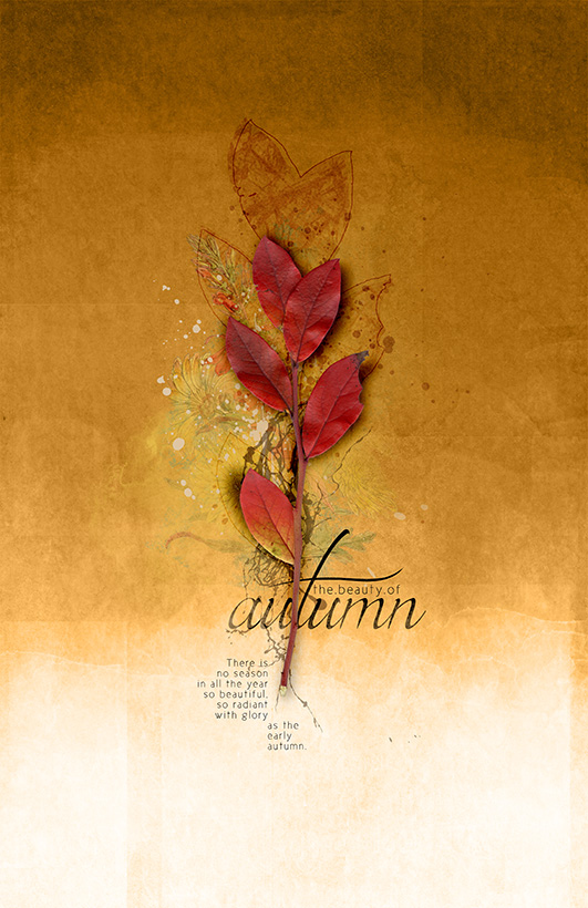 The Beauty of Autumn