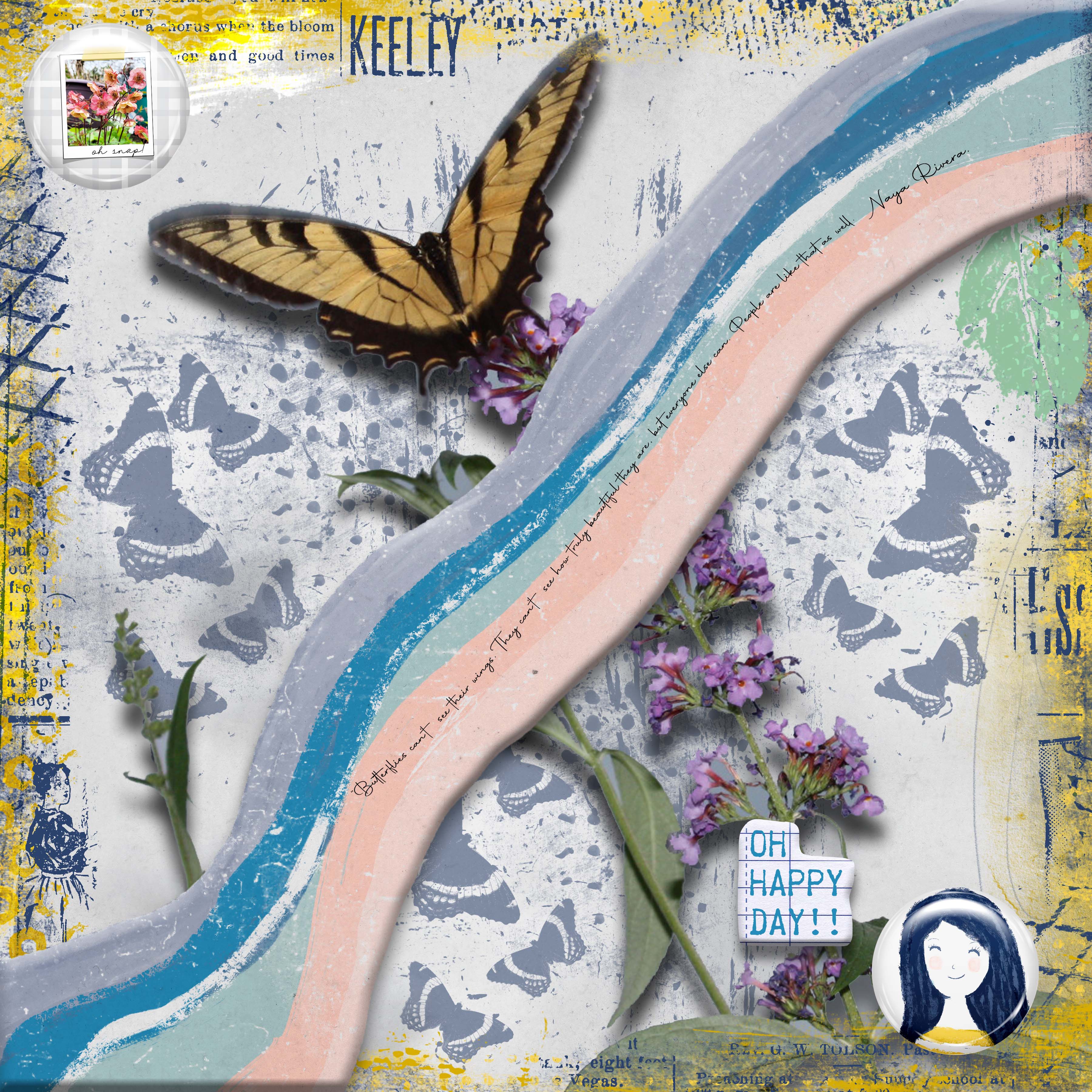 The Beauty of Butterflies.jpg