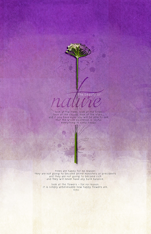 The Beauty of Nature