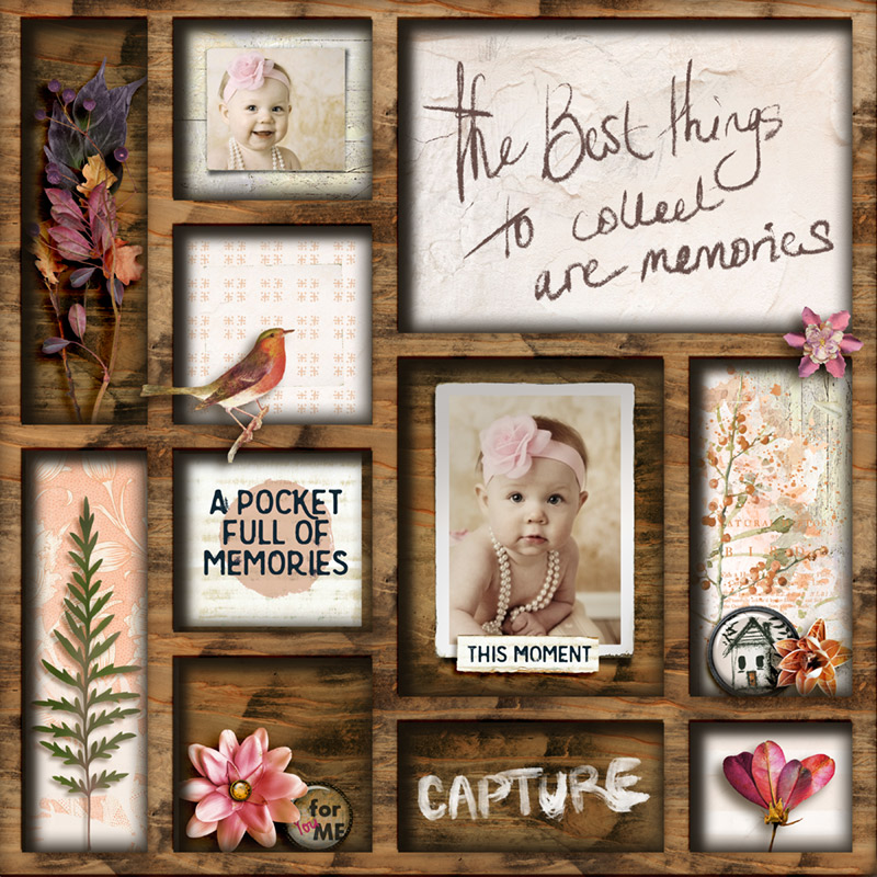 The Best Memories