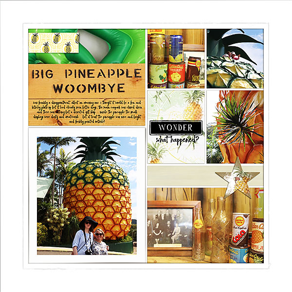 The Big Pineapple