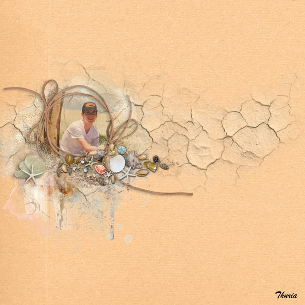 The desert