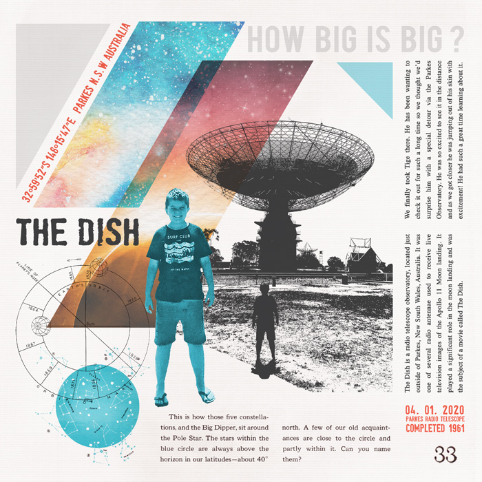THE DISH