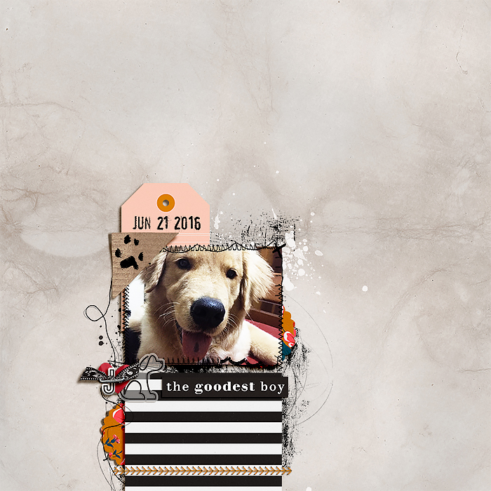 the goodest boy