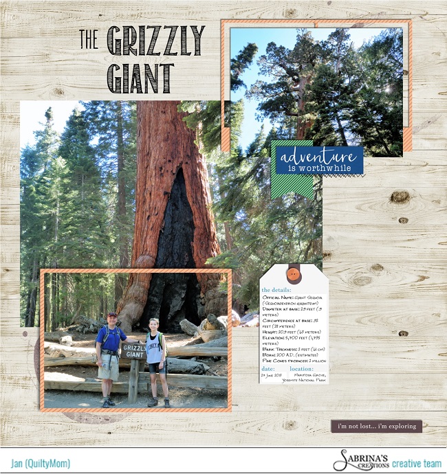 The Grizzly Giant