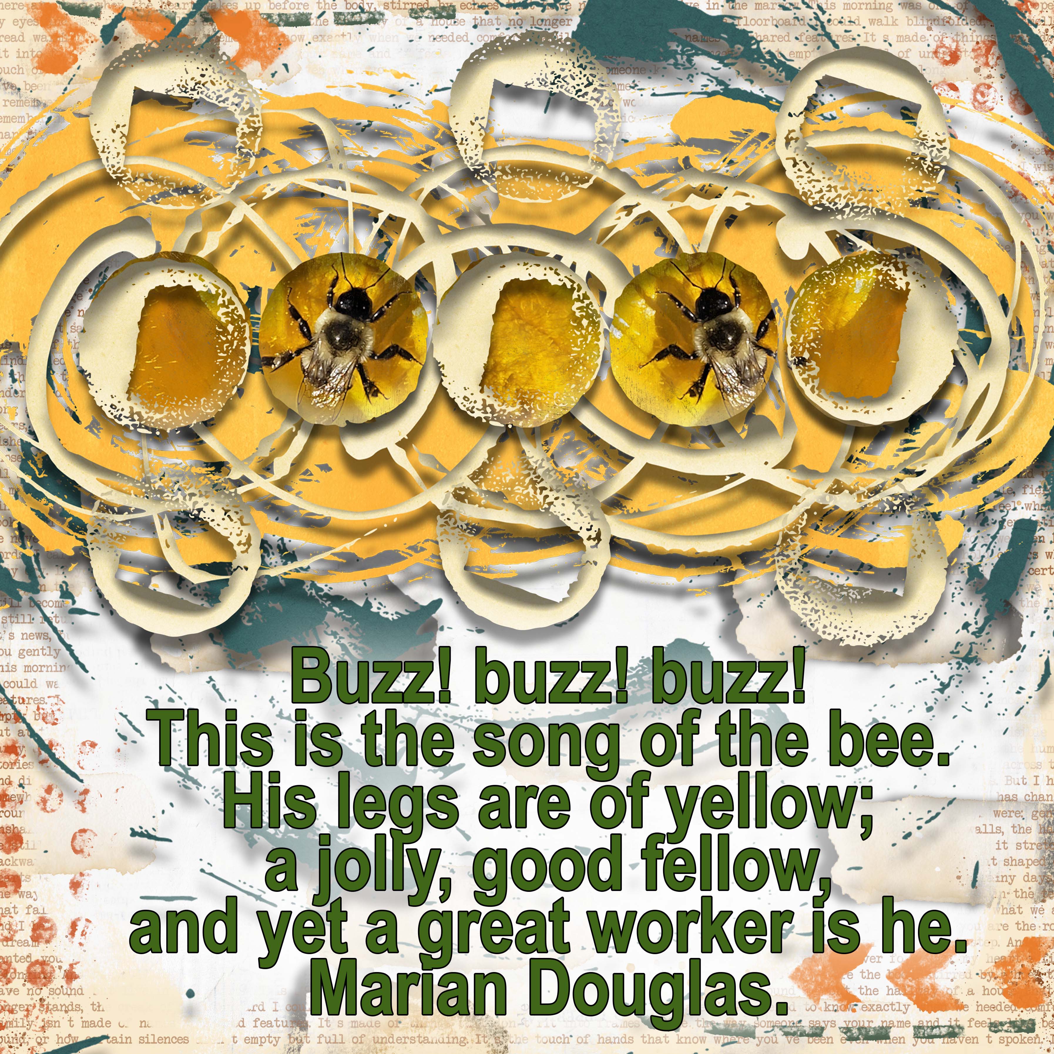 The Jolly Good Fellow Bee.jpg