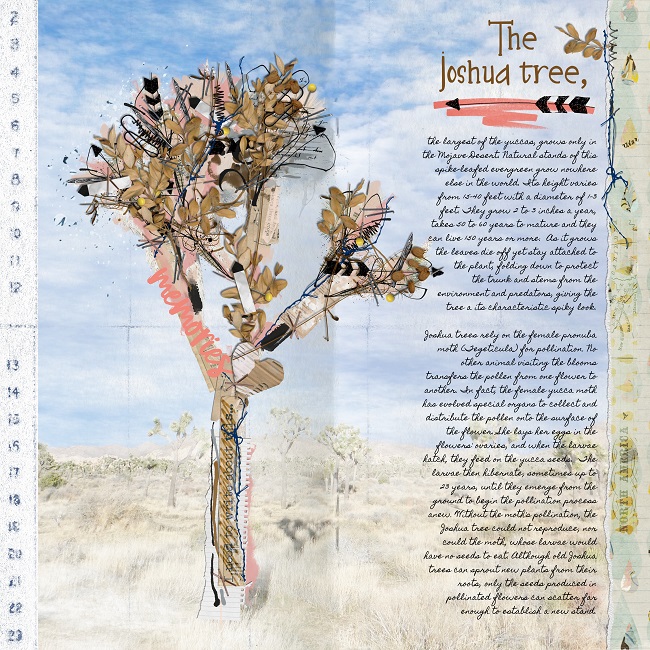 The Joshua Tree