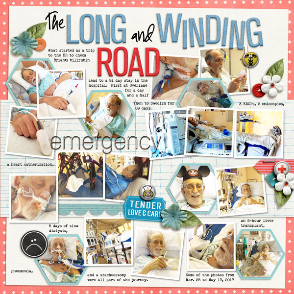 The Long and Winding Road - MOC-Jan 7-Collage