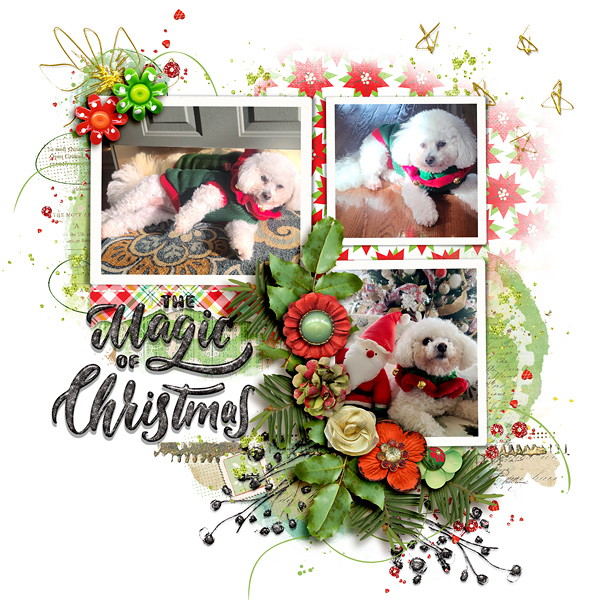 The Magic Of Christmas