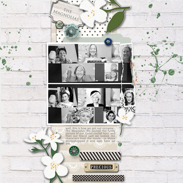 the Magnolias