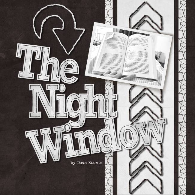 The-night-window