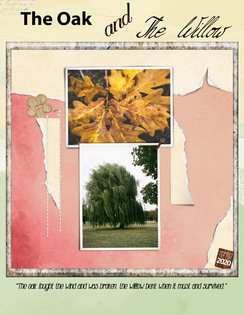 The-Oak-and-The-Willow
