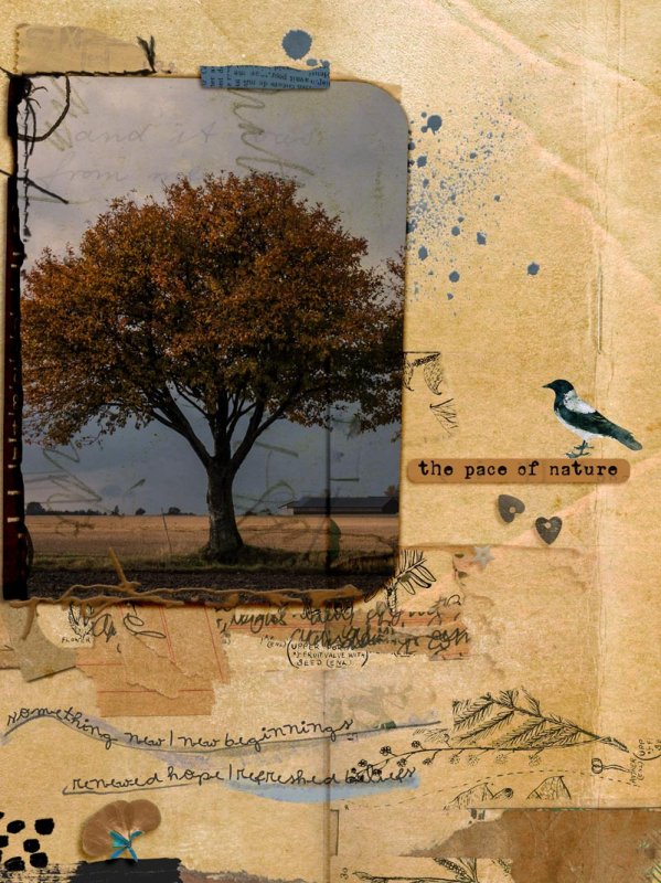 The pace of nature