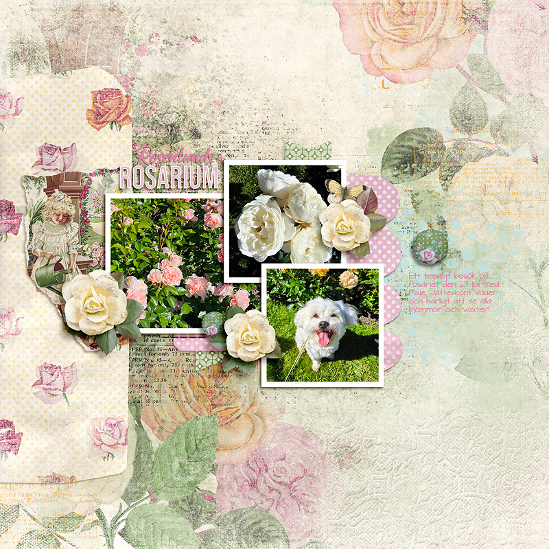 The Rose Garden - August 2024 Template challenge