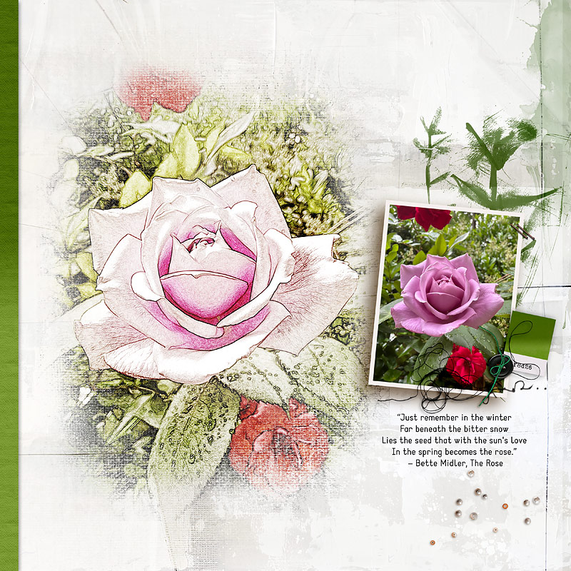 The Rose