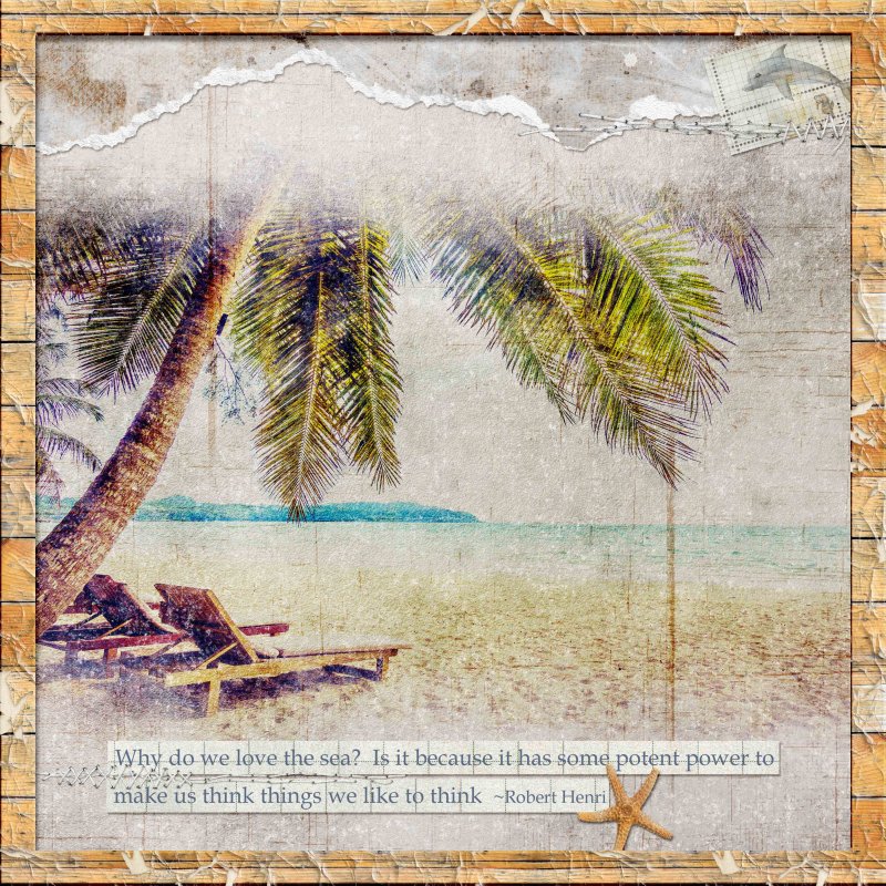 The Sea Muse - Week 2