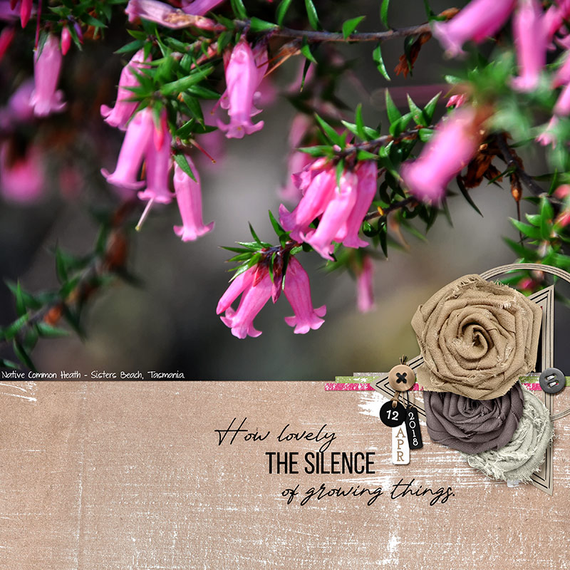 THE SILENCE