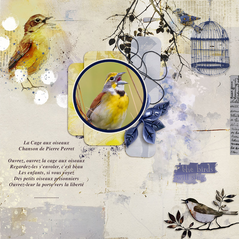 The singing bird