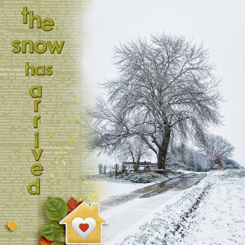 The Snow has arrived