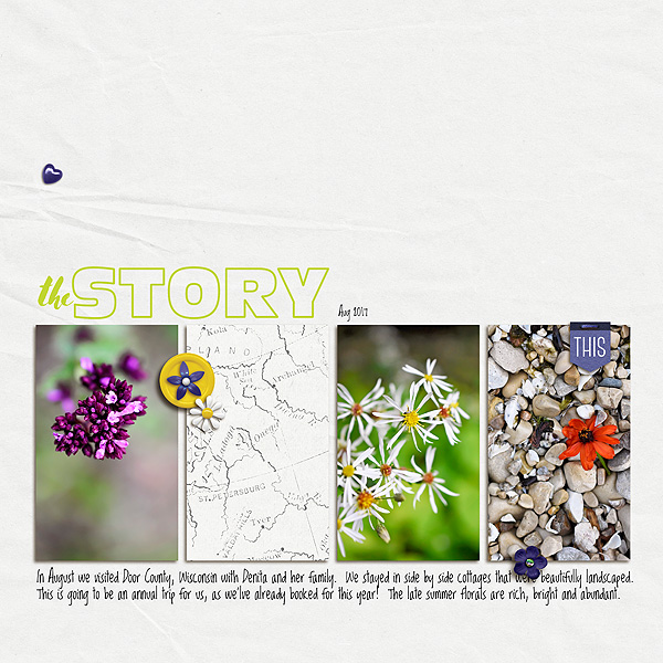 The Story