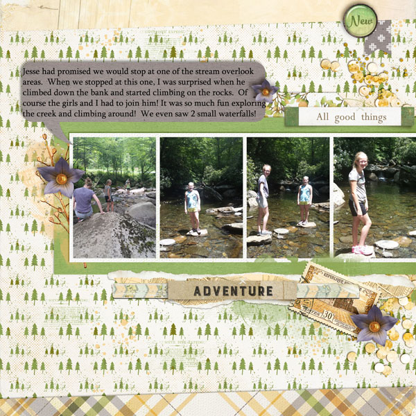 The Stream1