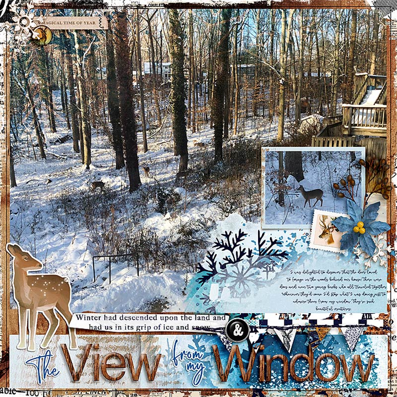 The View from my Window