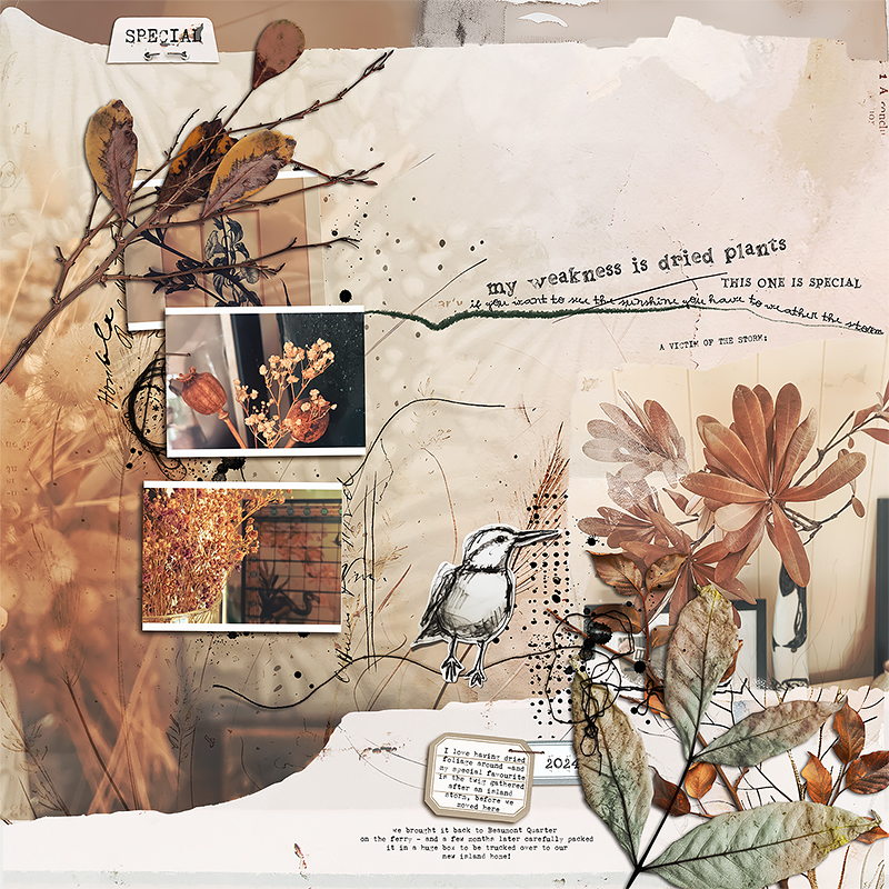 These Moments Matter: Special Little Things: Dried Leaves