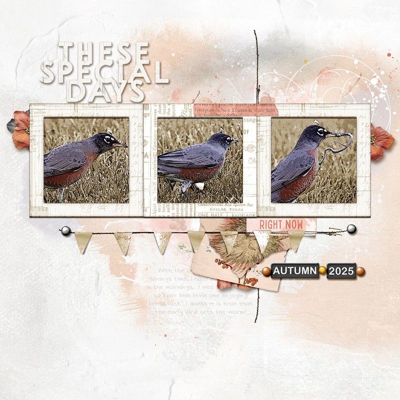 These Special Days
