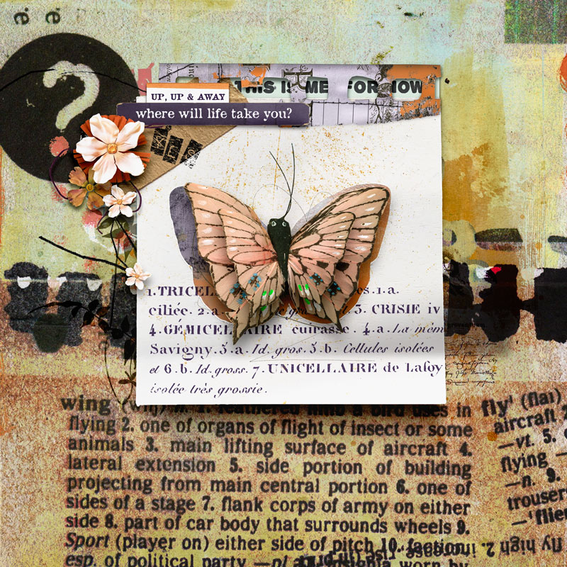 TheseWings