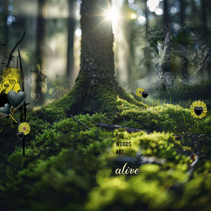 TheWoodsAreAlive