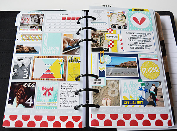 Time planner insert