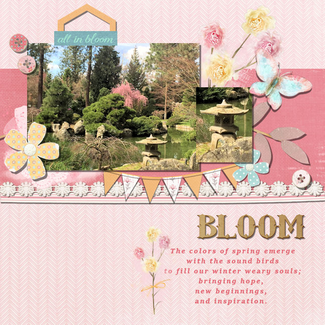Time To Bloom