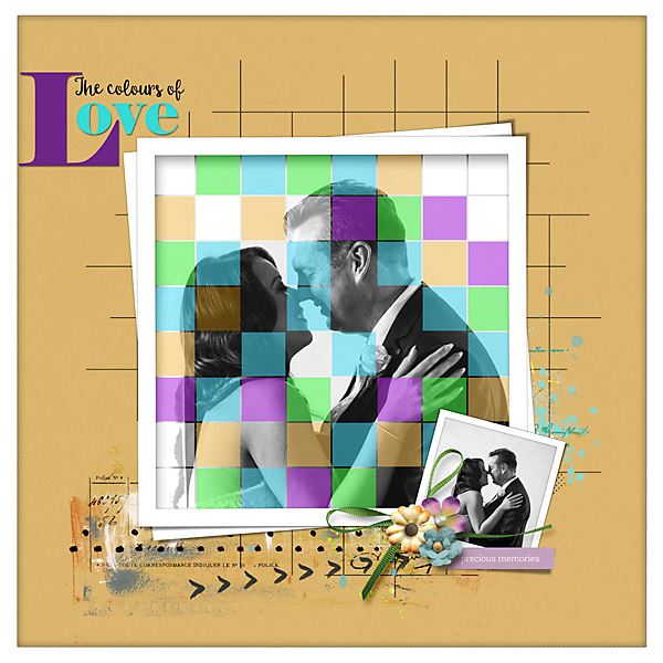 TLP-MOC-JAN-5-Grid-Photo