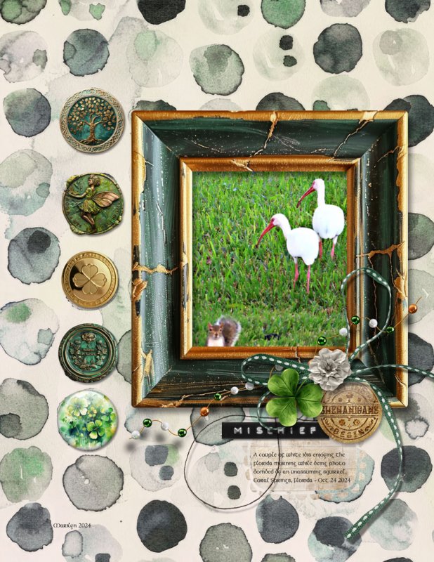 TLP_2025-03_March_Slow-Scrap_0317_web