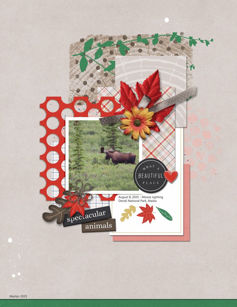 TLP_2025-10_October_Template-Challenge.jpg