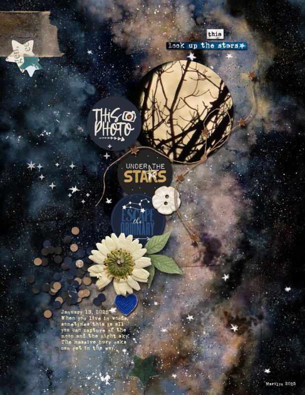 TLP_Summer-Camp_2025_0728_Sleeping-Under-the-Stars_Marilyn_web