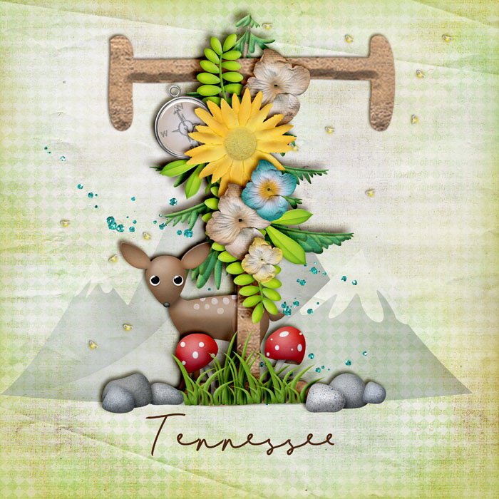 TN Title