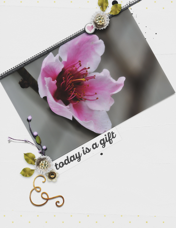 TodayIsAGift