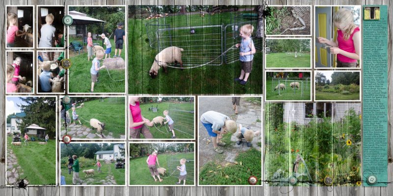 Topsy Farms