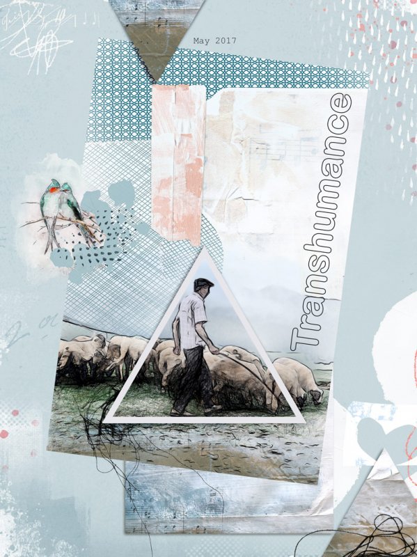 Transhumance