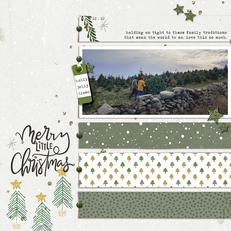 tree haul | byoc december 2023