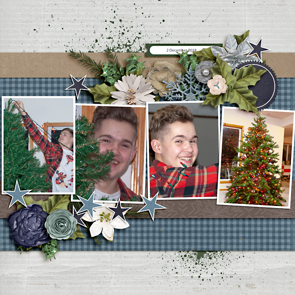 Tree