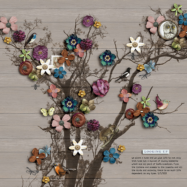 Trees of Life