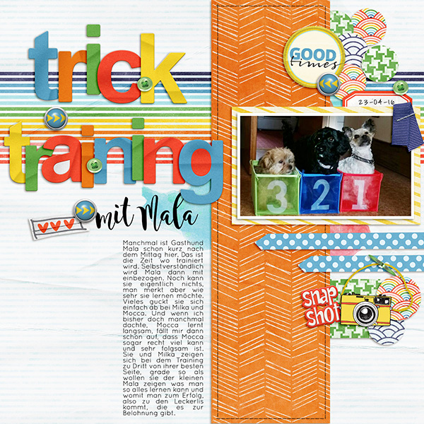 Trick Training